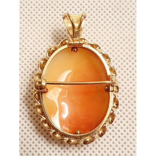 18 - 9ct Gold Cameo Bar Pendant