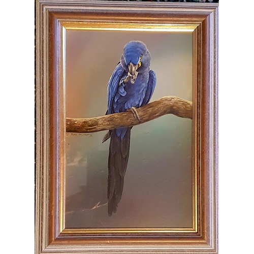 3 - Alan M Hunt is widely regarded as one of the best wildlife artists in the world.   Framed, glazed an... 