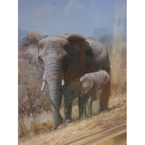 4 - Original signed and framed oil painting world-renowned wildlife artist Pip McGarry.  Overall size is... 