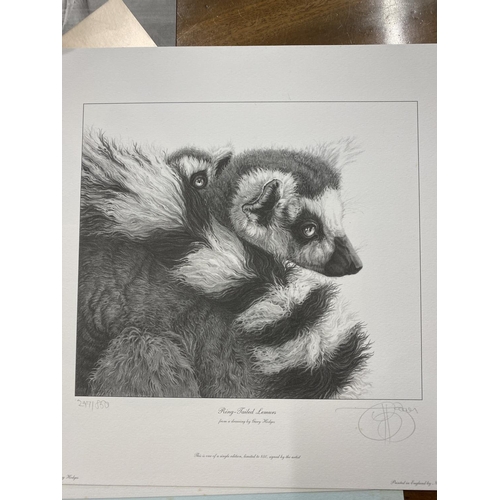 156 - Wildlife Art: Gary Hodges signed limited edition smaller works. Fennec Fox 83/850, Tree Frog 58/850,... 