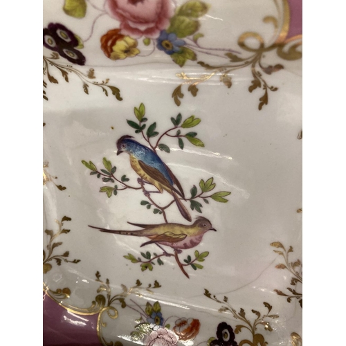 442 - 19th cent. English Porcelain: cabinet plates, pink ground with exotic birds in the central panel sur... 