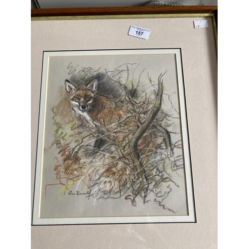 157 - Nora Howarth: Pastels on paper, fox in undergrowth, signed, framed and glazed. 11ins. x 9ins. Jack R... 