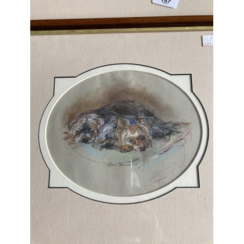 157 - Nora Howarth: Pastels on paper, fox in undergrowth, signed, framed and glazed. 11ins. x 9ins. Jack R... 