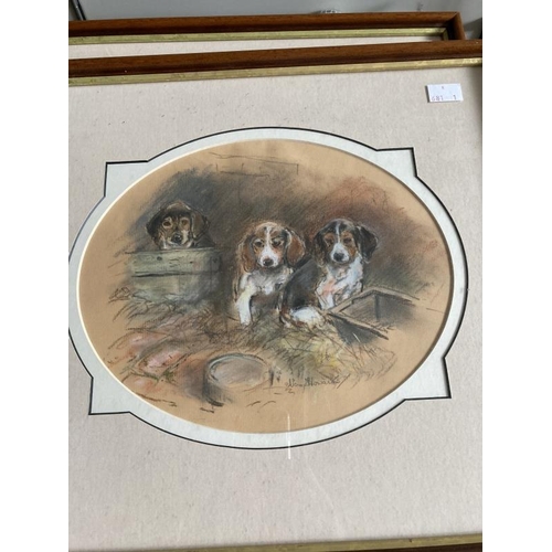 157 - Nora Howarth: Pastels on paper, fox in undergrowth, signed, framed and glazed. 11ins. x 9ins. Jack R... 