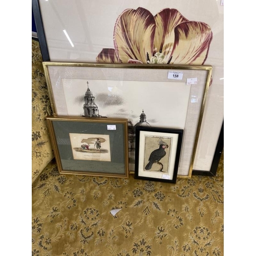 158 - 20th cent. Watercolour, Roman skyline, framed and glazed. 14ins. x 11½ins, print of a black cockatoo... 