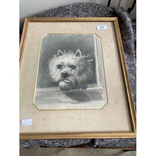 173 - 20th cent. English School: Pencil on paper of a Highland terrier signed W. Oliver 1901. 8ins. x 11in... 