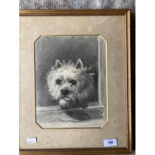 168 - 20th cent. English School: Pencil on paper of a Highland terrier signed W. Oliver 1901. 8ins. x 11in... 