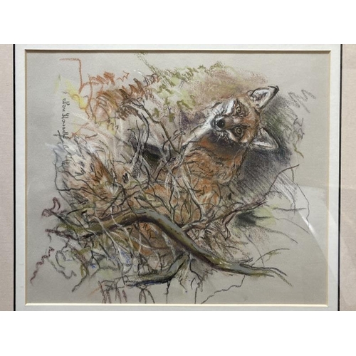 184 - Nora Howarth: Pastels on paper, fox in undergrowth, signed, framed and glazed. 11ins. x 9ins. Jack R... 