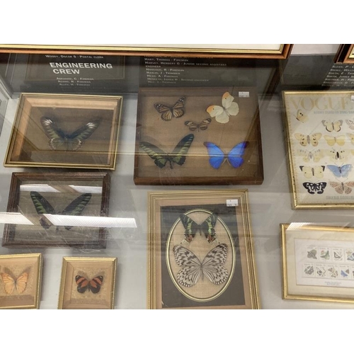 266 - Taxidermy: Butterflies sixteen cases of butterflies in glazed frames. Case of sixteen, glass A/F, ca... 