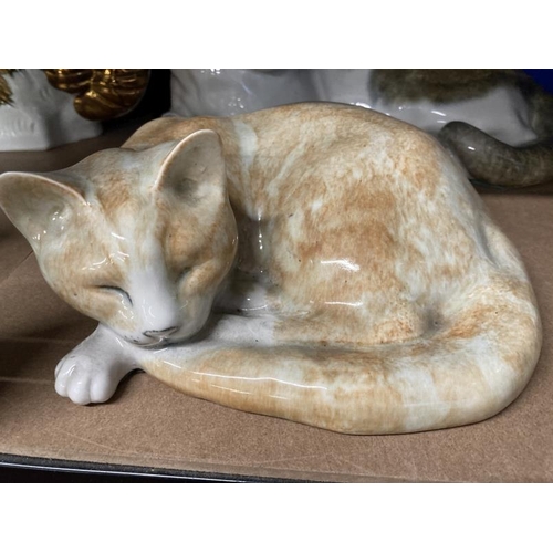 381 - 20th cent. Ceramics: Sleeping cat by Mike Hinton - Winstanley, tabby and white Mike Hinton Winstanle... 