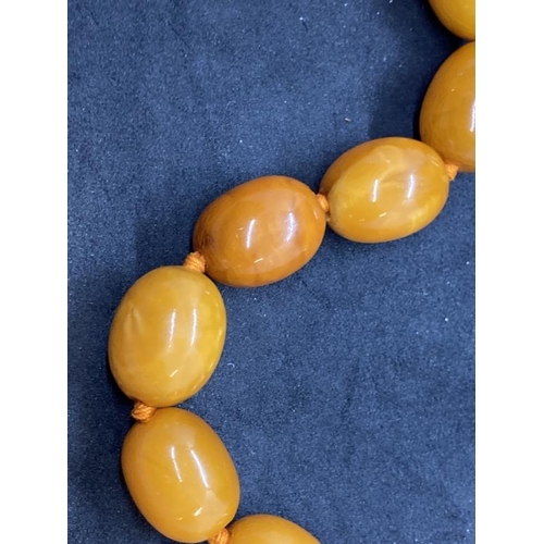 430 - Jewellery: Amber necklet consisting of thirty-two oval butterscotch amber beads, size of beads 20mm.... 