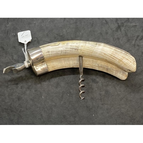 470 - Corkscrews/Wine Collectibles: Early 20th cent. White metal warthog/boar tusk handled corkscrew steel... 