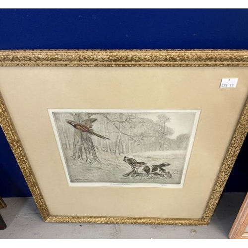 182 - George Vernon Stokes (1873-1954): Etching in colours, setter and pheasant No. 72/75, bears label to ... 