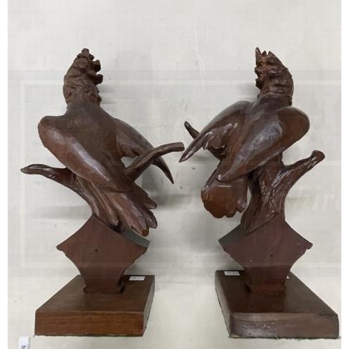 101 - Late 19th cent. Walnut carved decorative parakeets, a pair. 18ins.