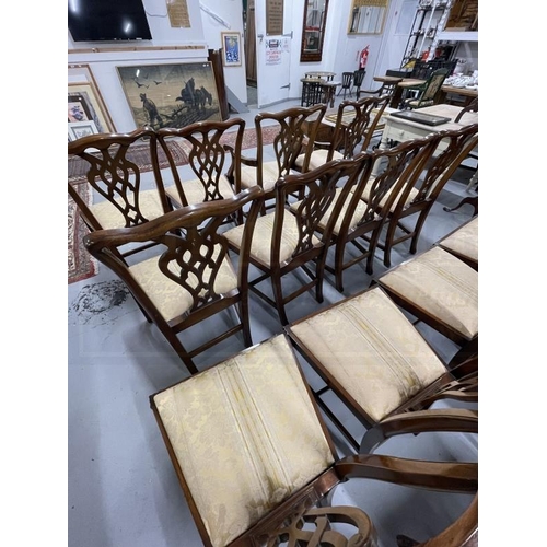 60 - 20th cent. Mahogany Chippendale style set dining or boardroom chairs, set of ten. Plus two carvers m... 