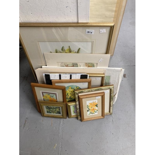 151D - Paintings & Prints: 20th century four small watercolours in frames, lilies, daffodils (x 2), crocus ... 