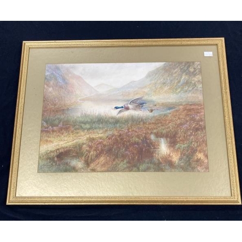 165 - George Rankin (1864-1937): Watercolour , mallards in flight signed lower left, framed and glazed. 14... 