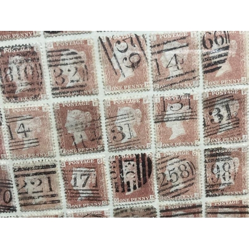 224A - Stamps: Very unusual and scarce collection of 1d reds, a framed, glazed reconstructed sheet of 240, ... 