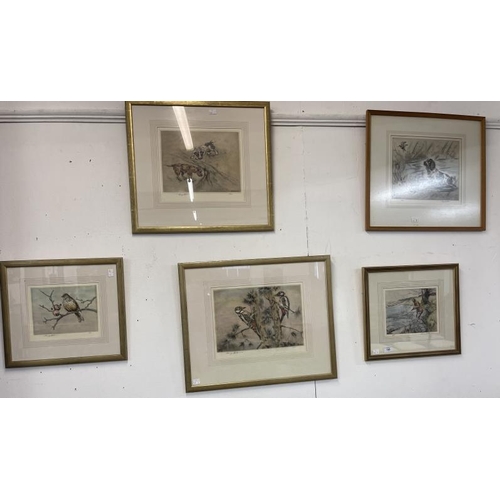 145 - Henry Wilkinson (1921-2011): Signed limited editions fishing and woodpeckers. 9ins. x 8ins. (2) & 11... 