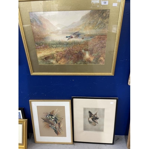 159 - George Rankin (1864-1937): Watercolour, Mallards in flight signed lower left, framed and glazed. 14i... 