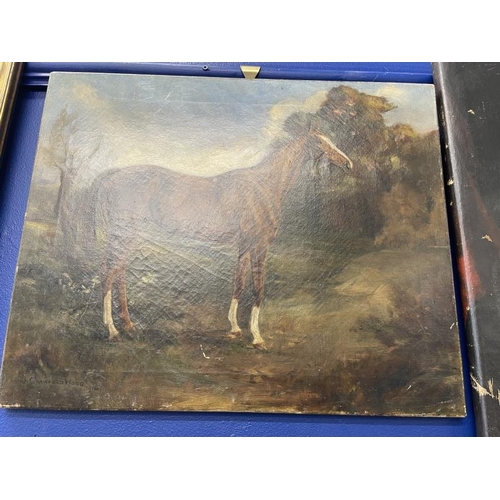 168 - J. Crawford Wood 1914: Oil on canvas horse with trees behind signed lower left and dated 1914, unfra... 