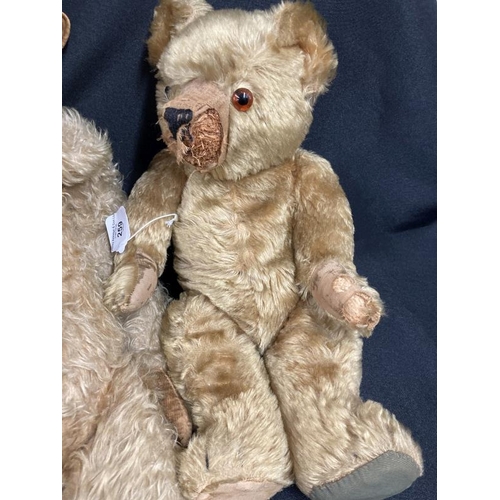 259 - Toys: Continental mohair teddy bear, glass eyes (one loose), black wool nose, straw filled. Wear to ... 