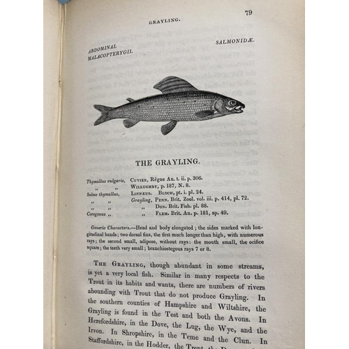 371 - Books: British Fishes, William Yarnell, Volumes 1 and 2, green cloth, 400 woodcuts, published by Joh... 