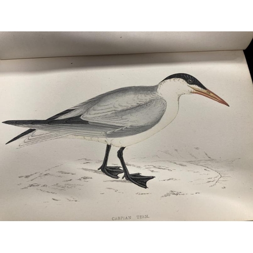 372 - Books: A History of British Birds by The Rev. F.O. Morris B.A published by Groomsbridge & Sons conta... 