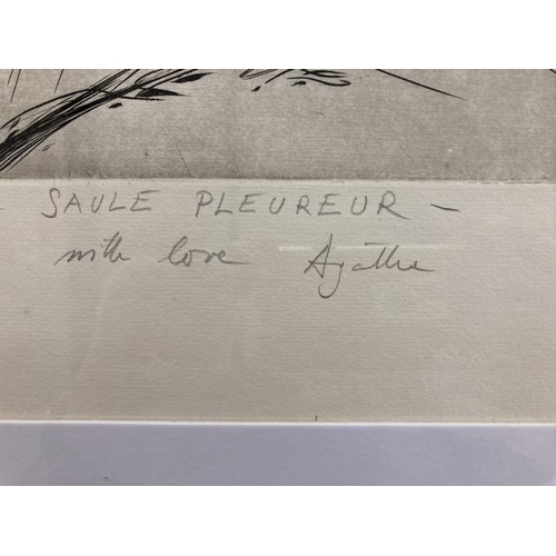150 - Agathe Sorel (1935-2020): Limited edition etching 8/50 titled 'Saule Pleureur', signed and dated 195... 