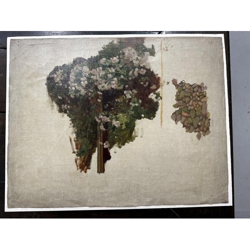 109 - 19th cent. Arthur Claude Cooke: Oil on canvas laid to card, study of flowers and stones, plus entran... 