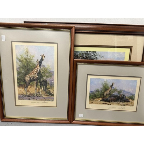 87 - David Shepherd Signed Limited Edition Prints:  The Waterhole Trilogy 1, 2, and 3. 13ins. 9ins. Cheet... 