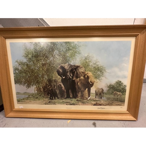 89 - David Shepherd Signed Limited Edition Prints: Luangwa Evening 485/1500. 28ins. x 15ins; Evening of T... 