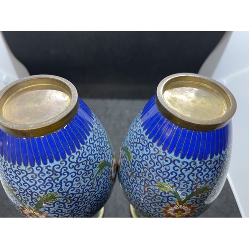 443 - Ceramics: Early 20th cent. Cloisonne vases, blue ground, one with slight damage, matched pair. 9ins.... 