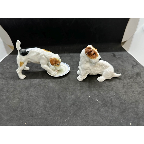 589 - Ceramics: Mid 20th cent. Royal Doulton dogs, HN1158 hound with plate, HN1097 terrier with ball, HN25... 