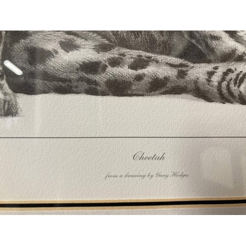 114 - Gary Hodges: 'Cheetah' signed limited edition print number 1028/1200, framed under glass. Overall si... 