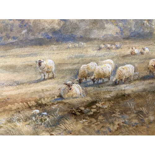 118 - H. Earl: Watercolour, sheep in a landscape, signed lower right, Reigate Rd, unframed. 26ins. x 18ins... 