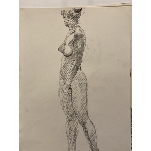 208 - Alec Wiles (1924-2021): Drawings in charcoal, crayon pencil, studies of nude females, all unmounted ... 