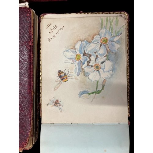 438 - Late 19th/Early 20th Cent. Autograph albums containing WWI sketches, Somme Poem, poems, verse, small... 