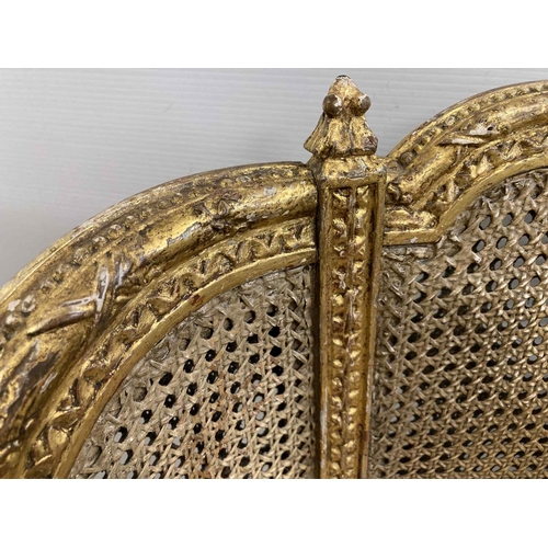 96 - Furniture: 19th cent. French gilt Bergere armchair.