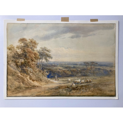 118 - H. Earl: Watercolour, sheep in a landscape, signed lower right, Reigate Rd, unframed. 26ins. x 18ins... 