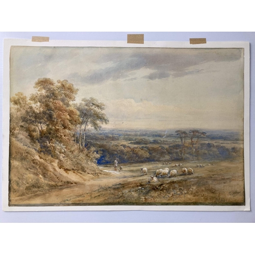 118 - H. Earl: Watercolour, sheep in a landscape, signed lower right, Reigate Rd, unframed. 26ins. x 18ins... 