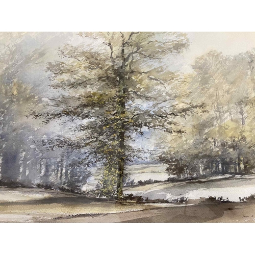 184 - English School: John R Harris English School: John R Harris. Watercolour 'Tall Oak' framed and glaze... 