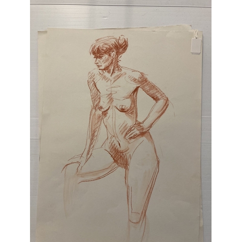 209 - Alec Wiles (1924-2021): Crayon on paper nude studies of a young woman, four signed, all unmounted an... 