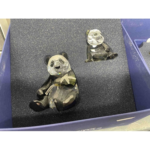 216 - Swarovski Crystal 'Pandas' 2008, 'Cheetah' 1994 and a single Panda, all boxed with certificates.... 