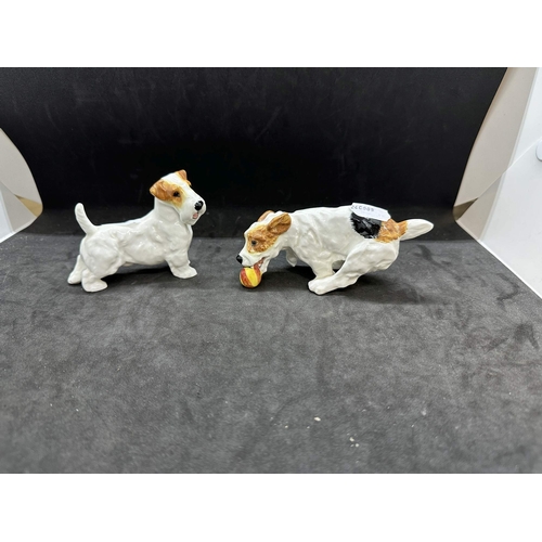 589 - Ceramics: Mid 20th cent. Royal Doulton dogs, HN1158 hound with plate, HN1097 terrier with ball, HN25... 