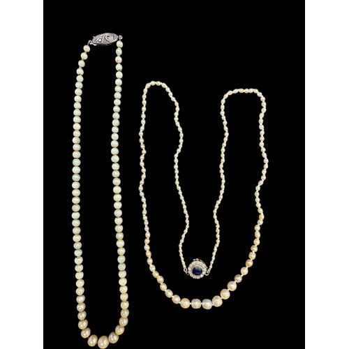 735 - Jewellery: Single row of graduated cultured pearls 6.5mm to 2.5mm, having a white metal clasp, tests... 