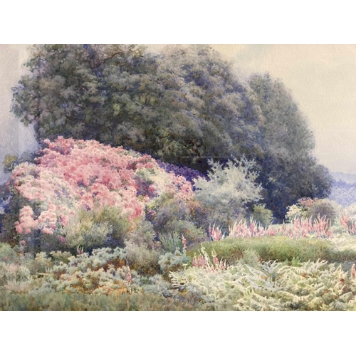 162 - Edith Helena Adie (1865-1947): Edith Helena Adie (1865-1947): Watercolour, a bank of rhododendrons, ... 