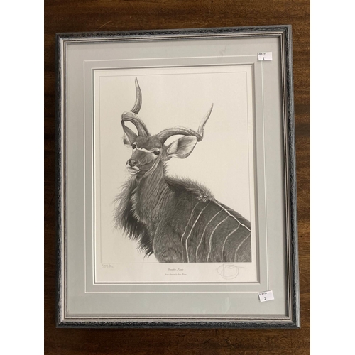 191 - Gary Hodges (1954- ): Gary Hodges (1954- ): Limited edition wildlife print signed and numbered in pe... 