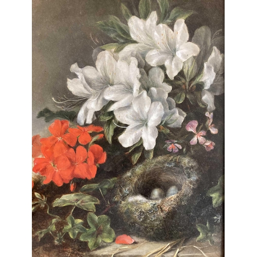 208 - Circle of Oliver Clare: Circle of Oliver Clare: Still life with flowers and a bird's nest Oil on boa... 