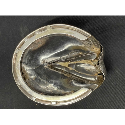 446 - Writing Requisites: Writing Requisites: Horse hoof silver plated inkwell by Roland Ward, Piccadilly.... 